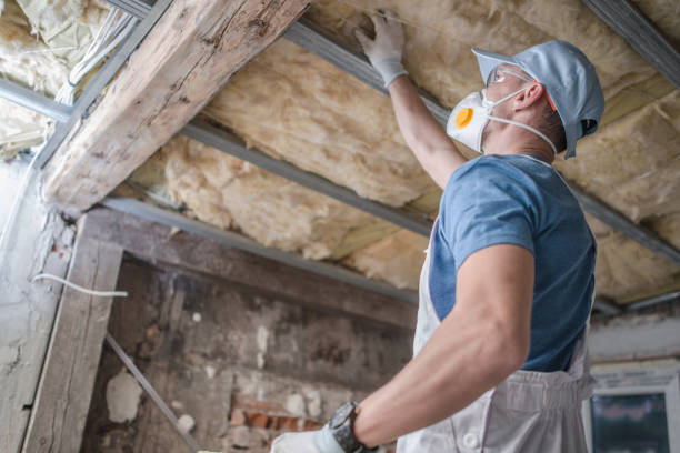 Best DIY Insulation Kits and Guidance in Gardnertown, NY